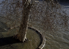 Nature dans Paris et proche banlieue.