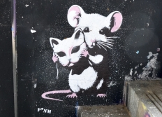 Spot13 - Année 2026