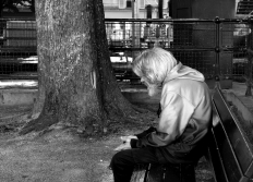 Nature dans Paris et proche banlieue.