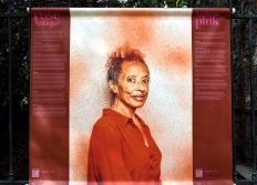Expositions en galeries & dans la rue
