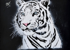 Spot13 Site d'Art Urbain de 2021 à 2026